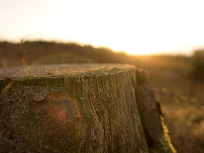 Study 10 Games to Boost Creativity and Art Skills